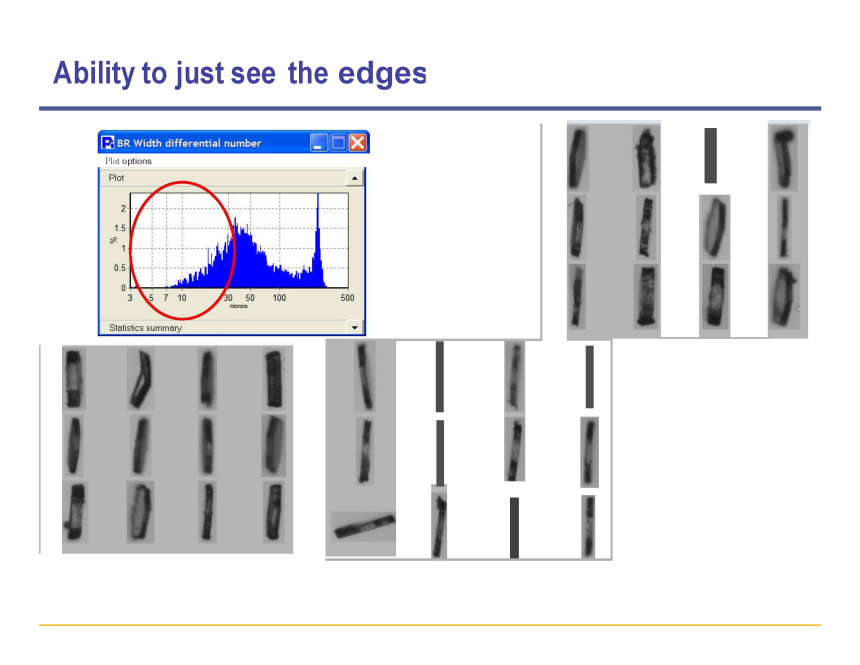 slide19