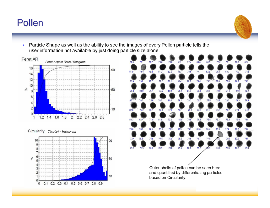 slide29