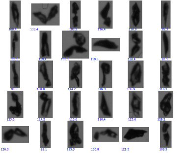 large grit particles