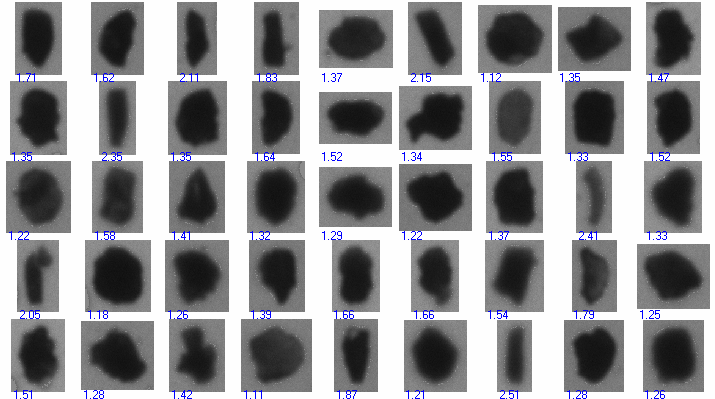 alumina particles