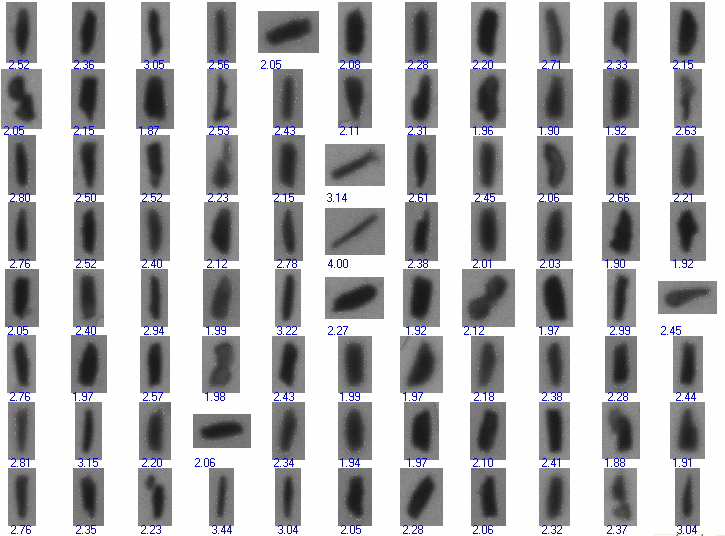 thumbnails AR > 1.9