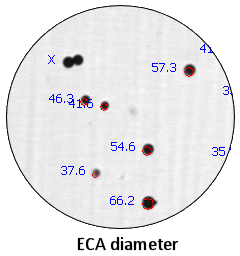 GlassBeads-ECA
