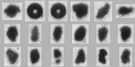 thumbnails