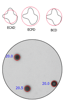 circle model