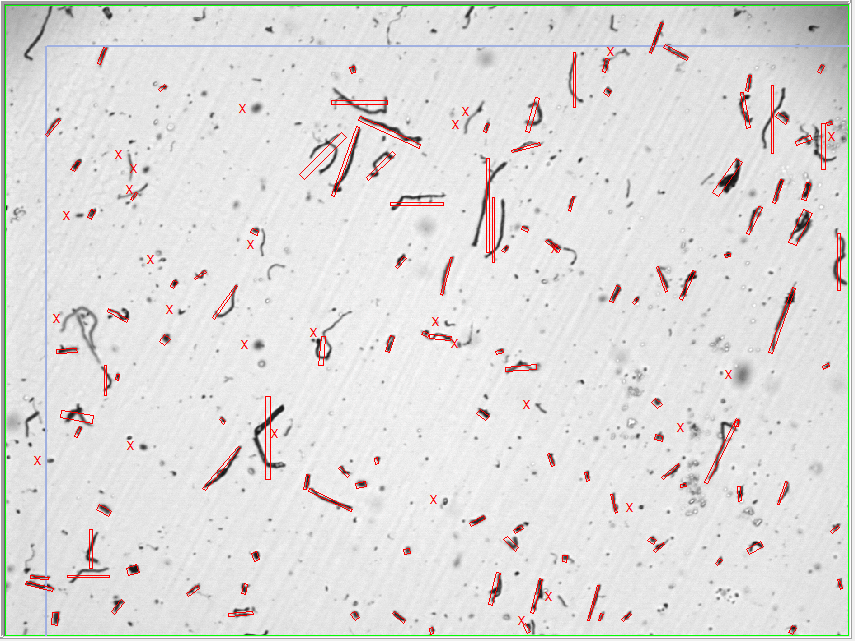 Fibers 1