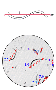 fiber model
