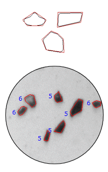 polygon model