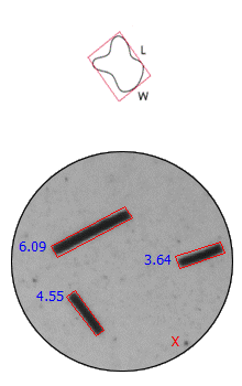 rectangle model